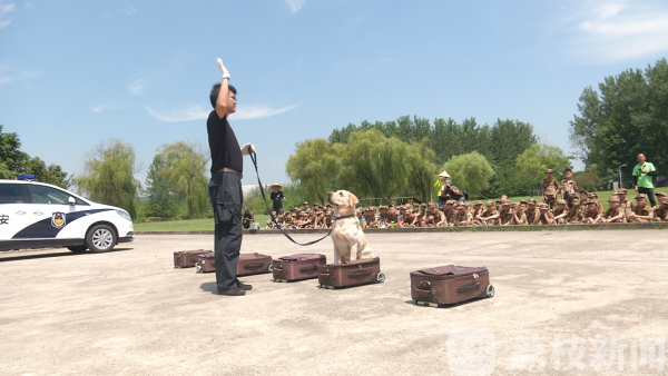 江蘇南京:感受“特警力量” 探秘現(xiàn)實(shí)中兩支反恐精英部隊(duì)(組圖) 江蘇南京:感受“特警力量” 探秘現(xiàn)實(shí)中兩支反恐精英部隊(duì)(組圖)